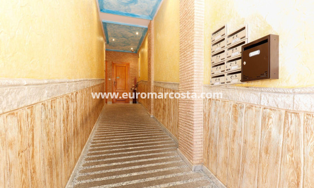 Sale - Apartment / flat - Torrevieja - TORREVIEJA