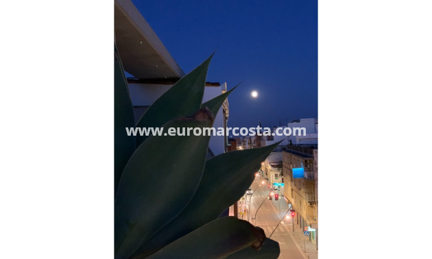 Venta - Apartamento / piso - Pilar de la Horadada