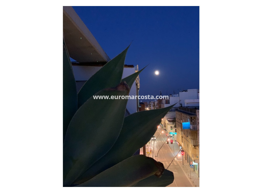 Venta - Apartamento / piso - Pilar de la Horadada