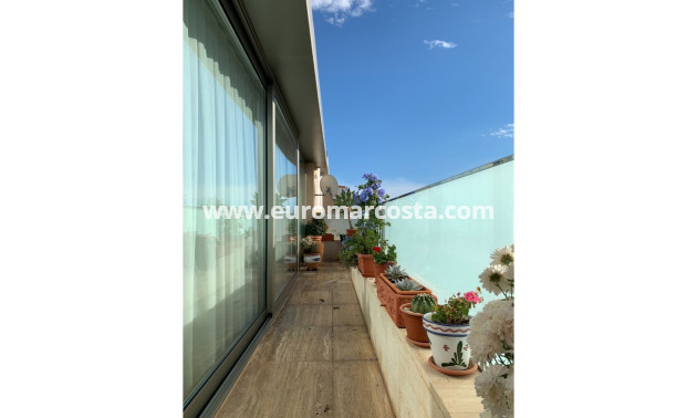 Venta - Apartamento / piso - Pilar de la Horadada