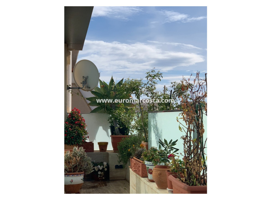 Venta - Apartamento / piso - Pilar de la Horadada