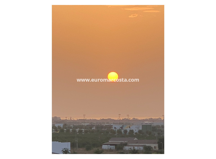Venta - Apartamento / piso - Pilar de la Horadada