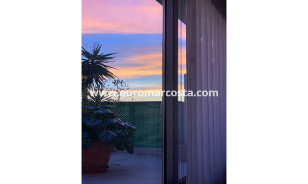 Venta - Apartamento / piso - Pilar de la Horadada