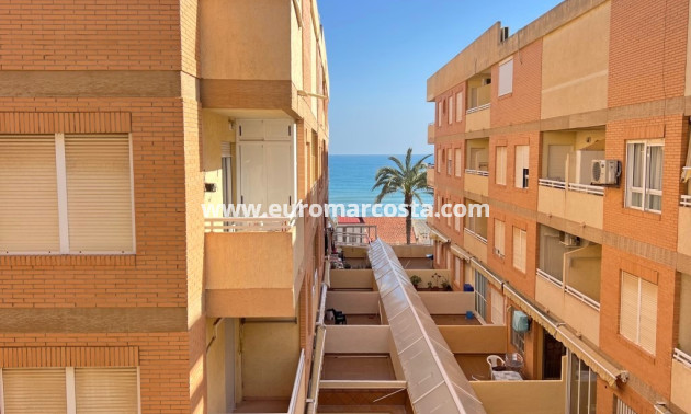 Venta - Apartamento / piso - Guardamar del Segura