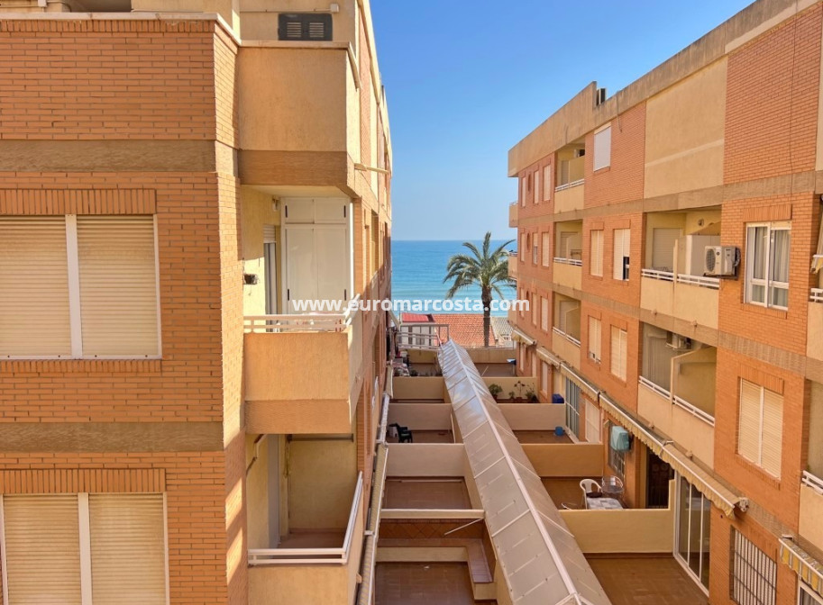 Venta - Apartamento / piso - Guardamar del Segura