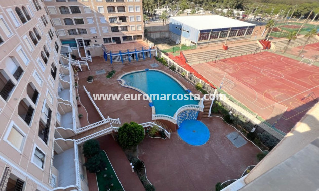 Venta - Apartamento / piso - Guardamar del Segura