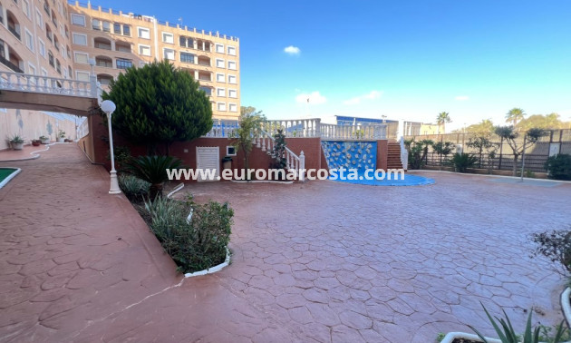 Venta - Apartamento / piso - Guardamar del Segura