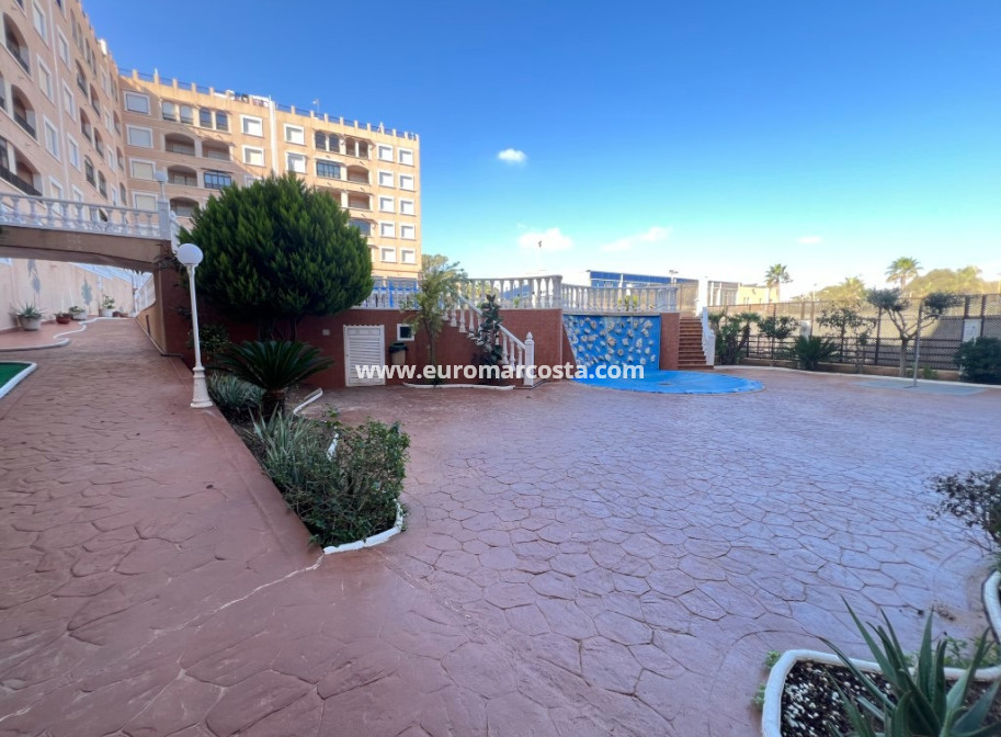 Venta - Apartamento / piso - Guardamar del Segura