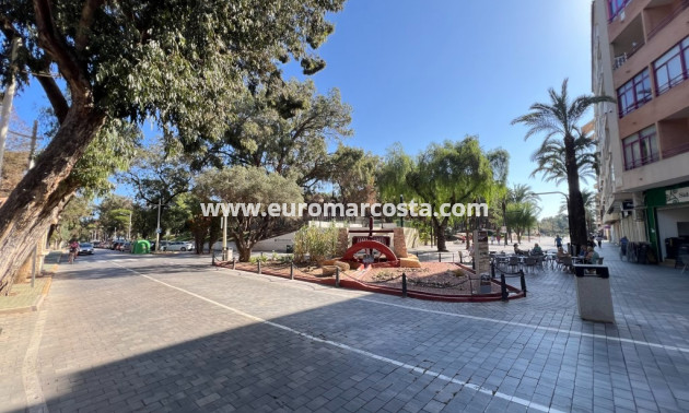 Venta - Apartamento / piso - Guardamar del Segura