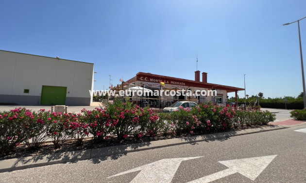 Venta - Chalet - Los Montesinos - La herrada