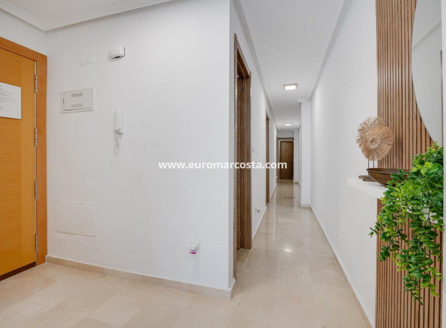 Sale - Apartment / flat - Torrevieja - TORREVIEJA