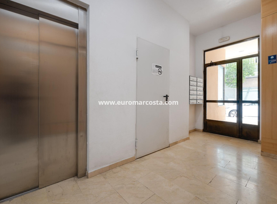 Sale - Apartment / flat - Torrevieja - TORREVIEJA