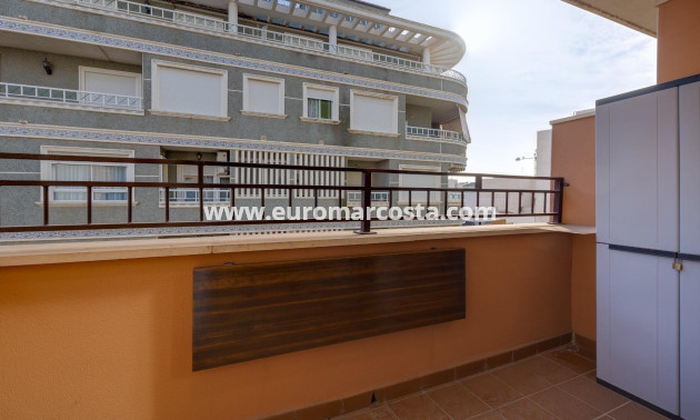Sale - Apartment / flat - Torrevieja - TORREVIEJA