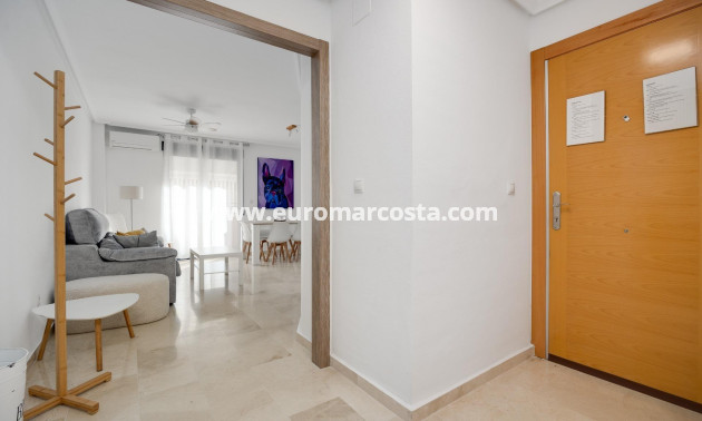 Sale - Apartment / flat - Torrevieja - TORREVIEJA