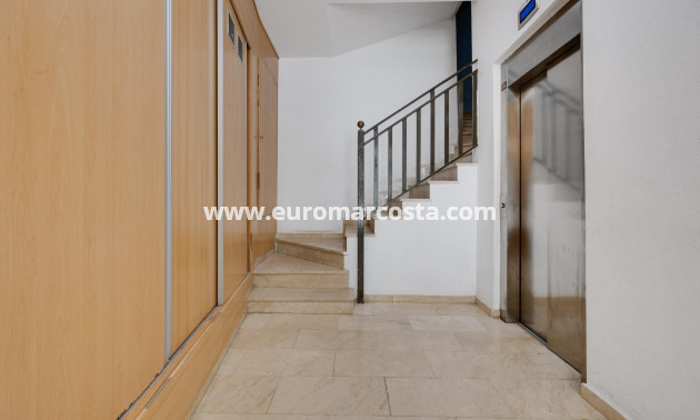 Sale - Apartment / flat - Torrevieja - TORREVIEJA