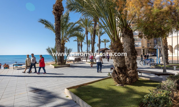 Sale - Apartment / flat - Torrevieja - TORREVIEJA