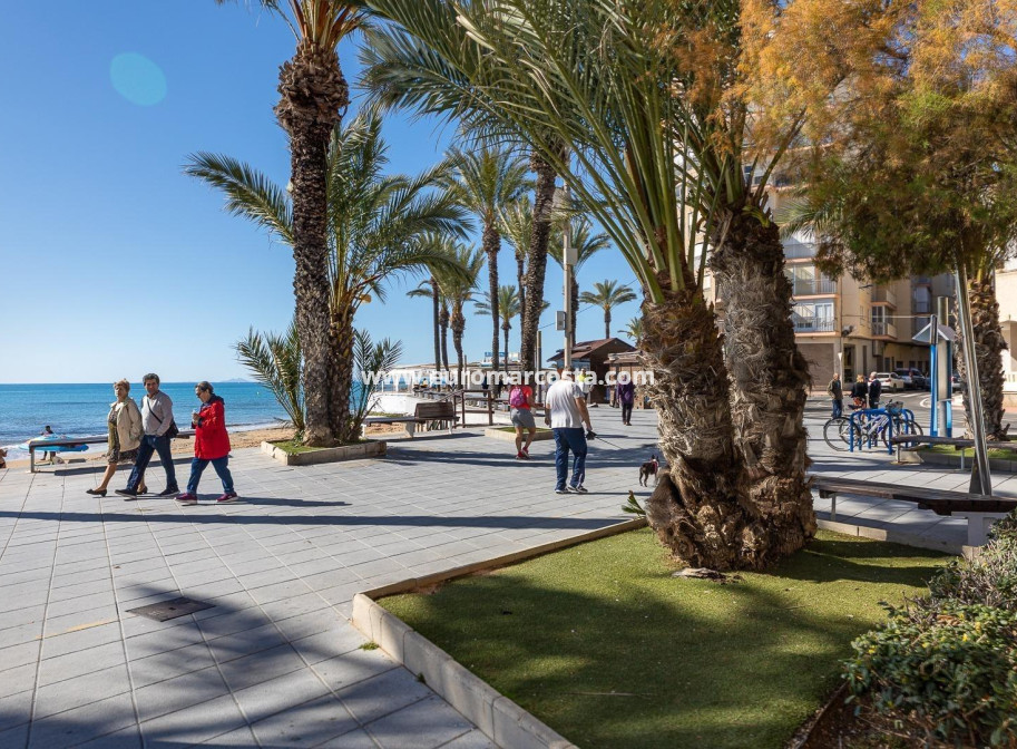 Sale - Apartment / flat - Torrevieja - TORREVIEJA