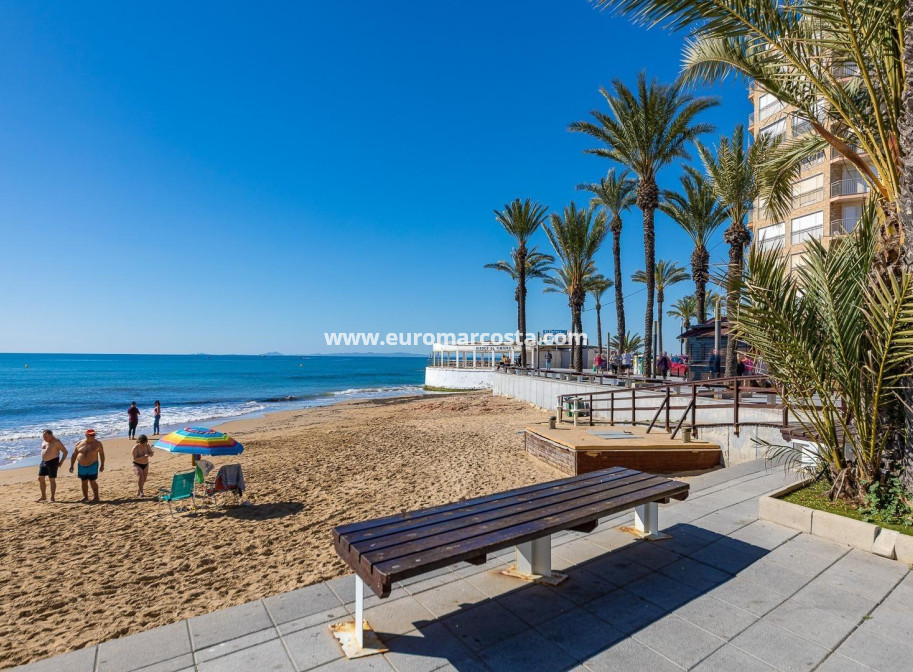Sale - Apartment / flat - Torrevieja - TORREVIEJA