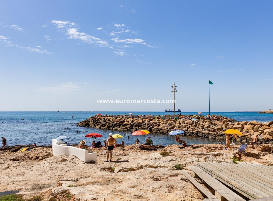 Sale - Apartment / flat - Torrevieja - TORREVIEJA