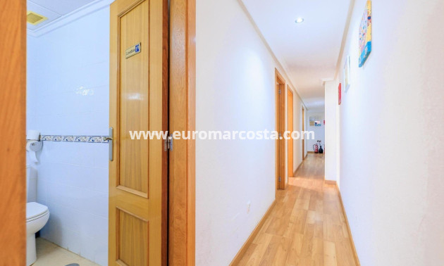 Venta - Apartamento / piso - Torrevieja - TORREVIEJA