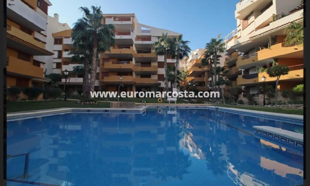 Venta - Apartamento / piso - Torrevieja - Orihuela Costa