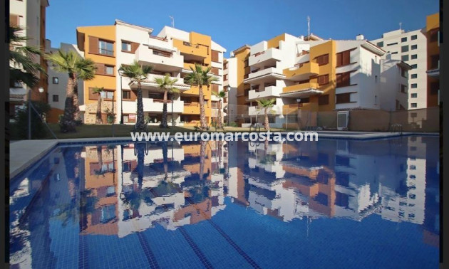 Venta - Apartamento / piso - Torrevieja - Orihuela Costa