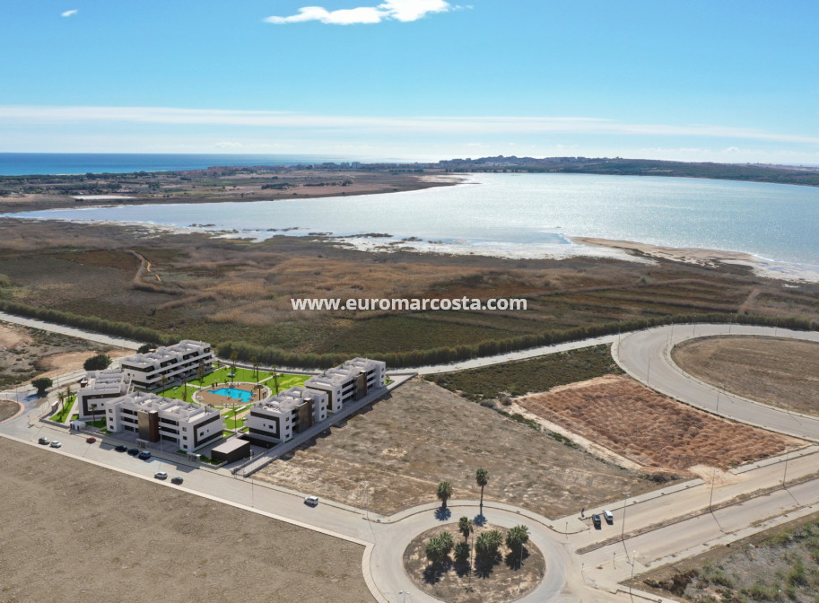 New Build - Apartment / flat - Guardamar del Segura