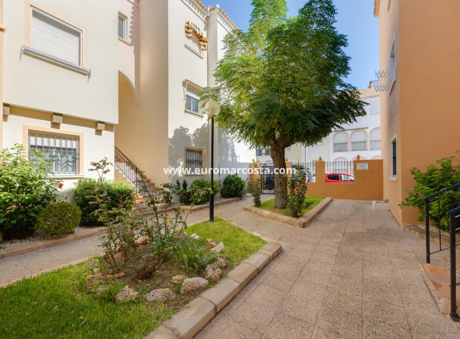 Venta - Bungalow - Torrevieja - TORREVIEJA