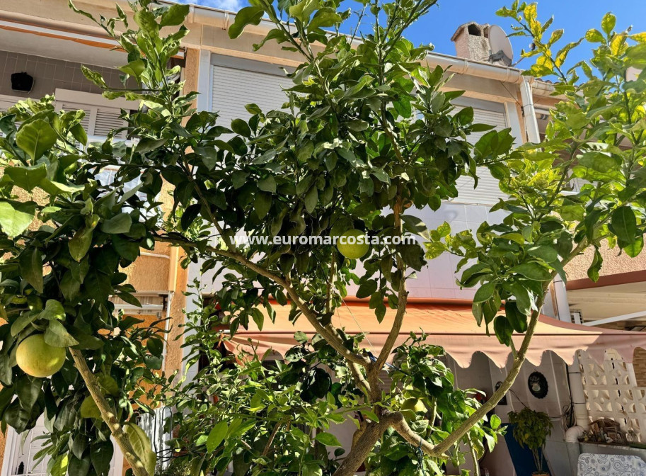 Objekte zum Wiederverkauf - Doppelhaus - Torrevieja - TORREVIEJA