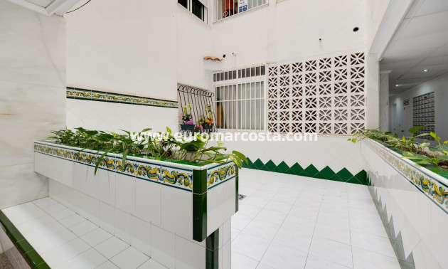 Objekte zum Wiederverkauf - Wohnung - Torrevieja - TORREVIEJA