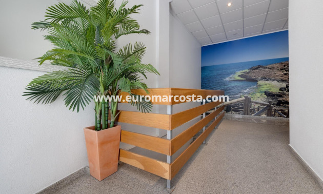 Objekte zum Wiederverkauf - Wohnung - Torrevieja - TORREVIEJA