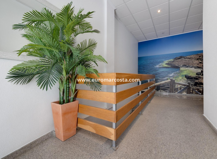Objekte zum Wiederverkauf - Wohnung - Torrevieja - TORREVIEJA
