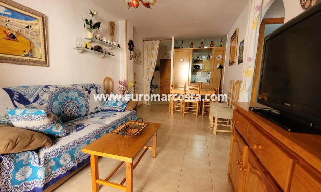 Venta - Apartamento / piso - Torrevieja - TORREVIEJA