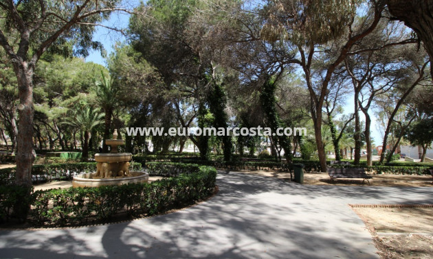 Sale - Apartment / flat - Guardamar del Segura