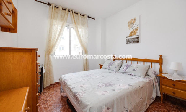 Venta - Apartamento / piso - Torrevieja - TORREVIEJA