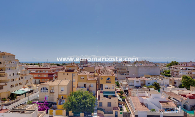 Venta - Apartamento / piso - Torrevieja - TORREVIEJA