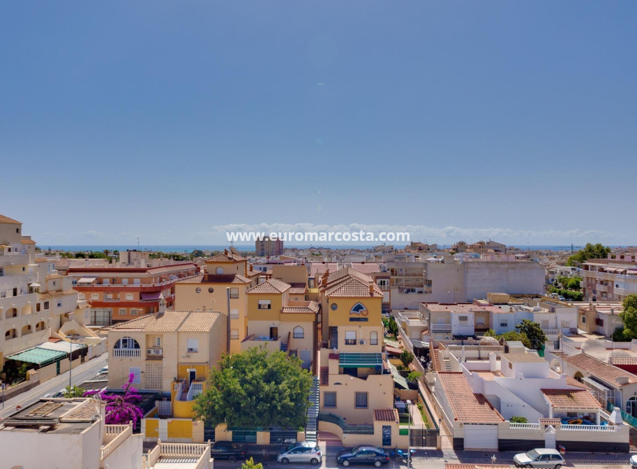 Venta - Apartamento / piso - Torrevieja - TORREVIEJA