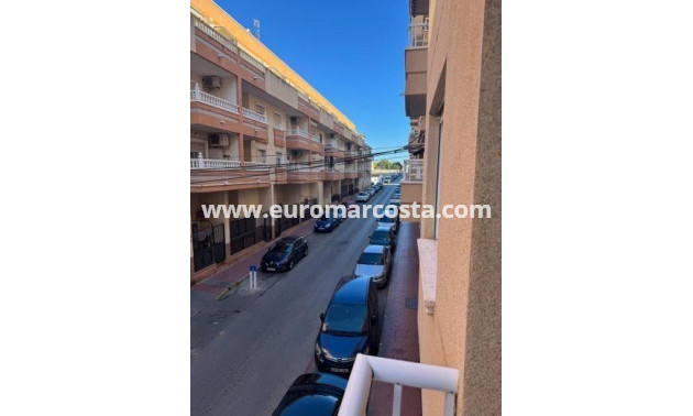 Objekte zum Wiederverkauf - Wohnung - Torrevieja - TORREVIEJA