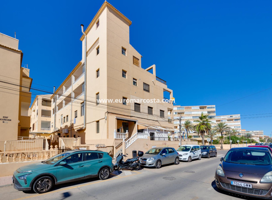 Objekte zum Wiederverkauf - Wohnung - Torrevieja - La Mata