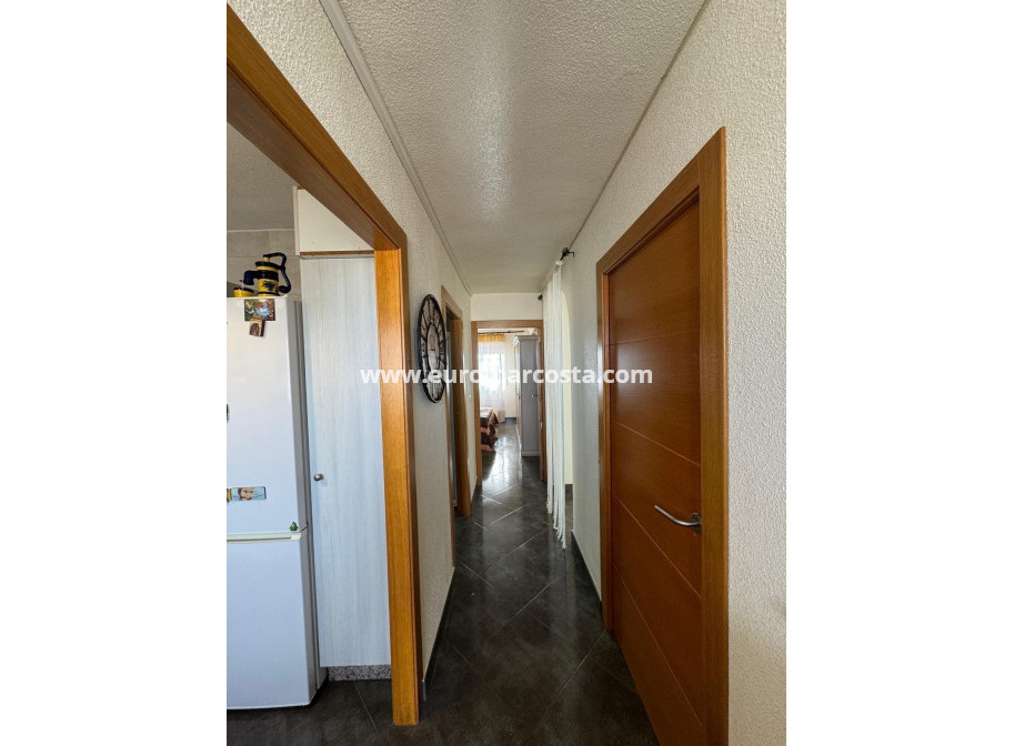 Sale - Apartment / flat - Torrevieja - TORREVIEJA