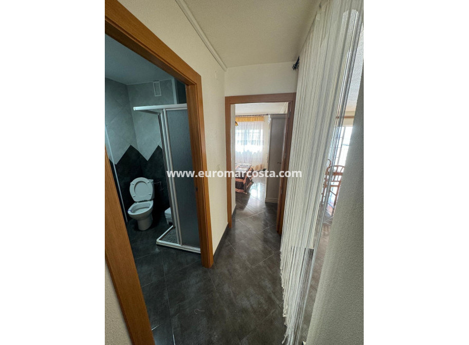 Sale - Apartment / flat - Torrevieja - TORREVIEJA
