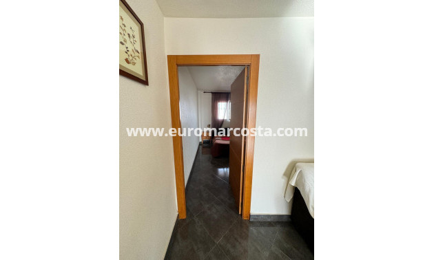 Sale - Apartment / flat - Torrevieja - TORREVIEJA