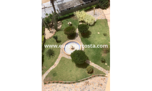 Sale - Apartment / flat - Torrevieja - TORREVIEJA