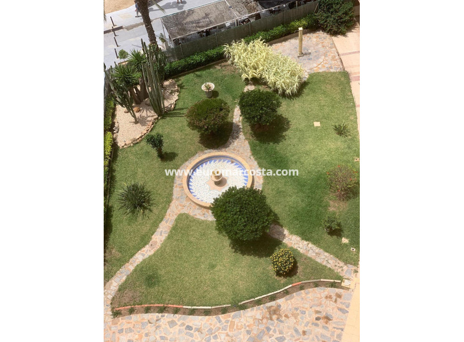Sale - Apartment / flat - Torrevieja - TORREVIEJA