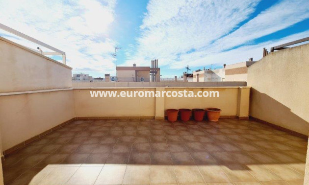 Sale - Penthouse - La Mata