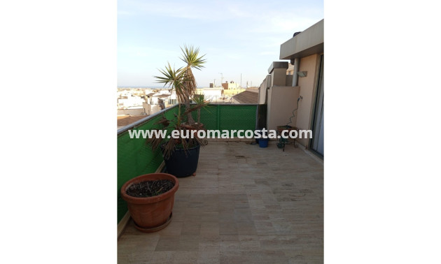 Venta - Apartamento / piso - Pilar de la Horadada