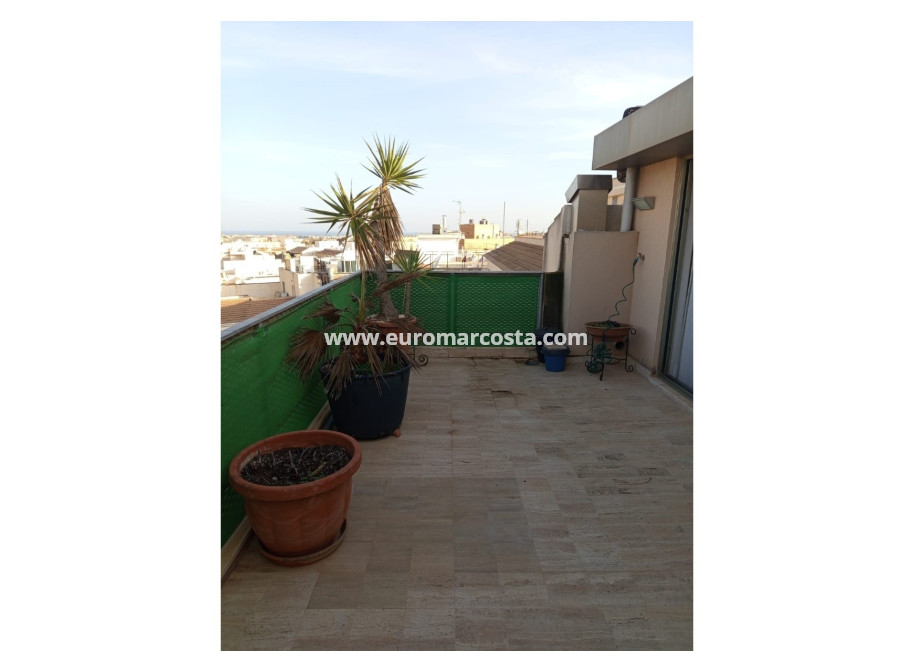 Venta - Apartamento / piso - Pilar de la Horadada