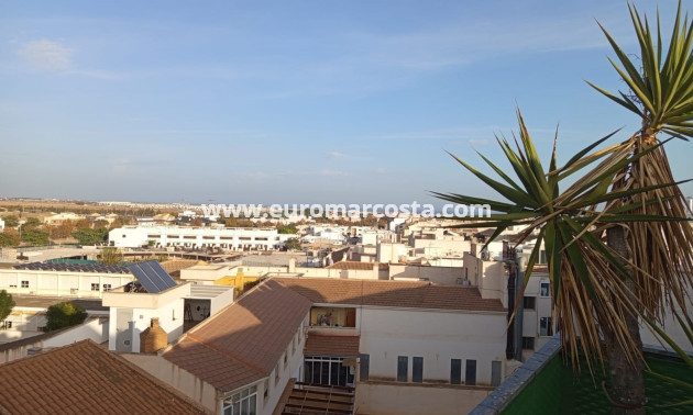 Venta - Apartamento / piso - Pilar de la Horadada