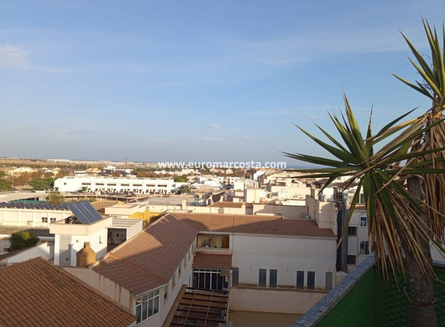 Venta - Apartamento / piso - Pilar de la Horadada