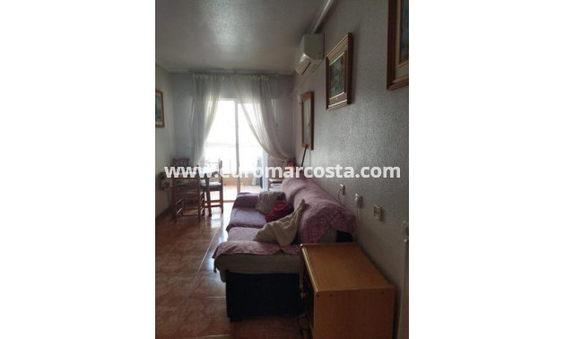 Venta - Apartamento / piso - Torrevieja - TORREVIEJA